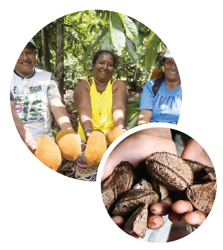 NUESTRA RESPONSABILIDAD SOCIAL